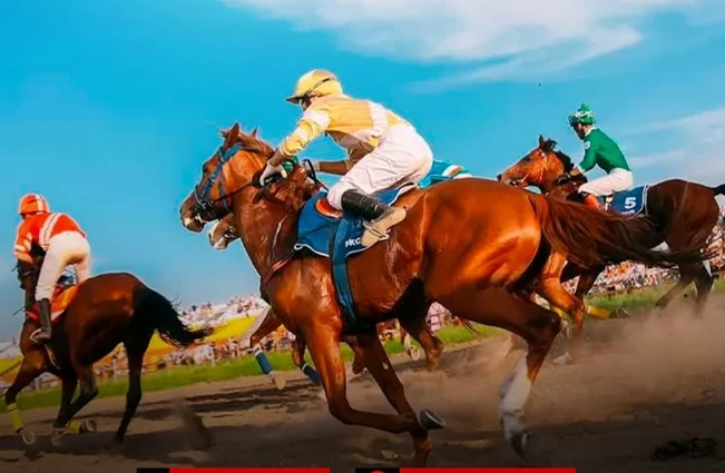 Приз «Tattersalls Golden Cup» будет разыгран в Алматы. Где и во сколько смотреть классические скачки Приз «Tattersalls Golden Cup» будет разыгран в Алматы. Где и во сколько смотреть классические скачки