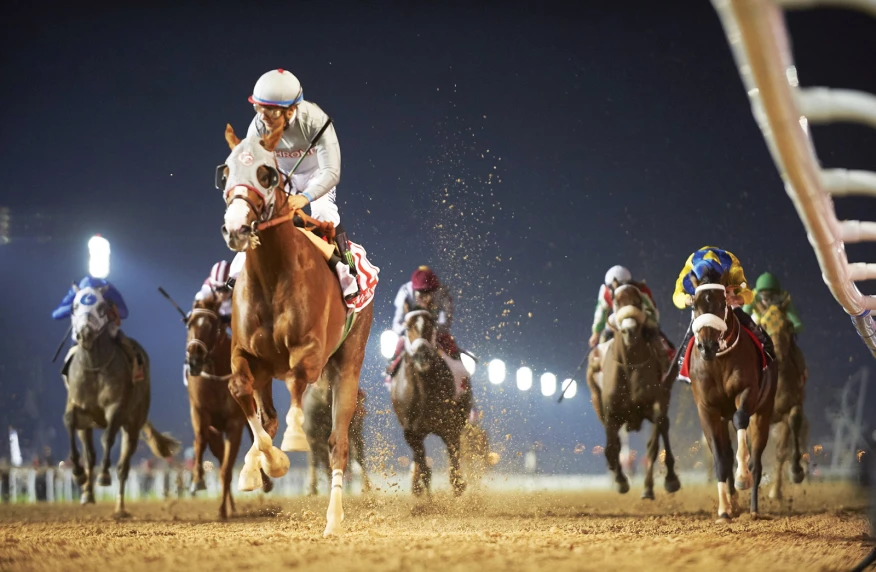 БАӘ-дегі бәйге маусымының шарықтау шегі. Dubai World Cup турнирінен тікелей эфир БАӘ-дегі бәйге маусымының шарықтау шегі. Dubai World Cup турнирінен тікелей эфир