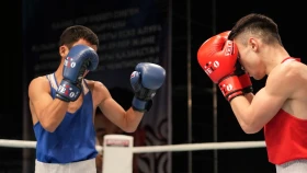 Боксшылар Сербияда жұдырықтасады