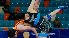 Дәулетбеков, Әлиев және басқалар. Еркін күрестен ел кубогының финалдық екінші күнін тікелей эфирі