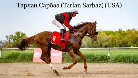 Тарлан Сарбаз – победитель Казахстанского дерби (видео)