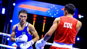 Братья-близнецы Тольтаевы выступят на одном вечере бокса в Алматы