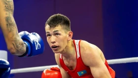 Бокстан Әлем кубогының финалдық кезеңіне қатысатын Қазақстан құрамасының тізімі жарияланды