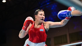 Қазақстандық әйелдер Сербияда қанша табыс таба алады?