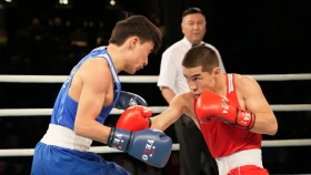 Бүгін бокстан Қазақстан чемпионатының финалы өтеді