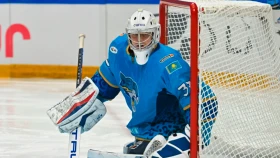 Швед қақпашысы «Барыстан» кетуі мүмкін