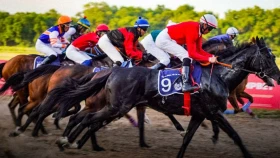 Открытие сезона классических скачек на телеканале Sport+