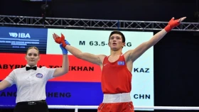 Қазақстаннан 7 боксшы Ливерпульде өтіп жатқан әлем чемпионатының бесінші күнінде жұдырықтасады. Жарыстың тікелей эфирі