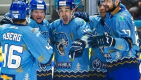 Предновогодний подарок от «Барыса»