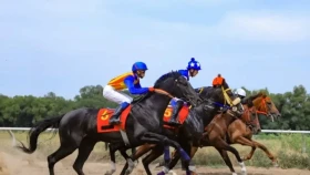 Jockey Club төреші-гандикапері Қазақстандағы ат жарысына арналған инфрақұрылым туралы айтты