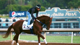 Три казахстанские скакуна поборются за победу в Дубае. Где и во сколько смотреть трансляцию скачек из ОАЭ