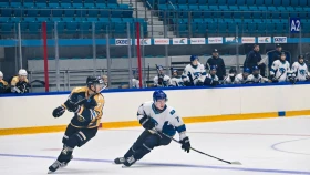 «Алматы» обыграли Барсов