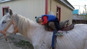 Әке, Ханторыны құтқаршы: үш жасар Бейбарысқа депутат ағылшын тұқымды тұлпар сыйлады