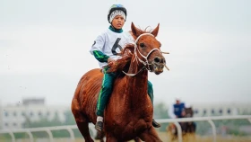 Лучшие шабандозы Казахстана сразятся за 23 миллиона тенге в Шымкенте. Где и во сколько смотреть первый этап ЧРК по Байге