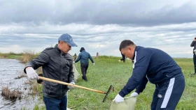 Танымал спортшылар «Таза Қазақстан» акциясын қолдады