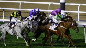 Дубайские скачки. Где и во сколько смотреть Dubai Millennium Stakes