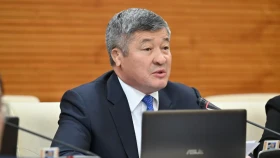 Қазақстанда әйелдер күресін дамытуда кедергілер бар: Дәулет Тұрлыханов