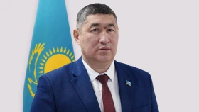 Спорт және дене шынықтыру істері комитетіне жаңа төраға тағайындалды