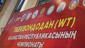 В Шамалгане завершился Чемпионат Казахстана по таеквандо (видео)