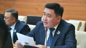 Депутат Мажилиса об ослаблении лимита в футболе: Это вызывает гнев народа