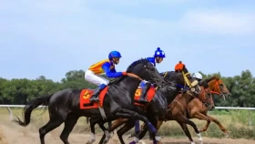 Судья-гандикапер Jockey Club рассказал о инфраструктуре для конных скачек в Казахстане
