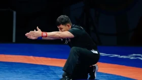 12 судей из Казахстана будут работать на олимпиаде