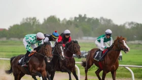 На Ипподроме Алматы прошли Классические скачки на призы Президента