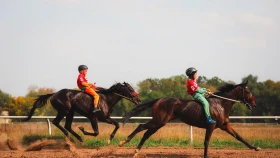 Лучшие шабандозы Казахстана поспорят за 25 миллионов тенге в Актобе