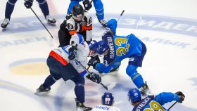 Сборная Казахстана по хоккею нашла нового тренера