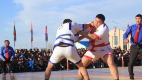 В Казахстане появился новый турнир в мире казакша курес