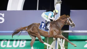 Алматыдағы кезекті классикалық ат шабысты қайдан көруге болады?