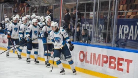 «Снежные Барсы» обыграли «Ладью» во втором матче