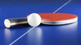 Определены победители открытого чемпионата Казахстана по настольному теннису