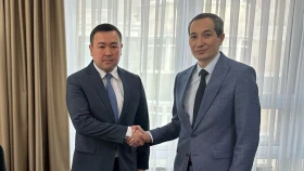 Назначен новый генеральный директор Sport Qory