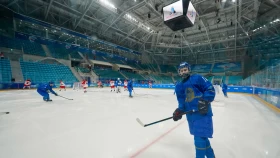 Хоккейшілер жарады