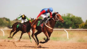 Алматыда Байге чемпионатының 7-туры өтеді. Жарыстың тікелей эфирі