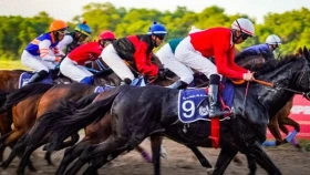 Cтартовал сезон классических скачек. Результаты первого старта