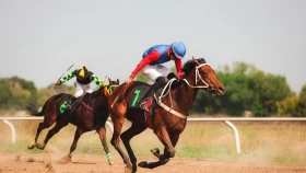 Где смотреть чемпионат Казахстана по байге?