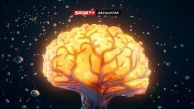 Нейрогимнастика: как развитие обоих полушарий мозга влияет на спортивные результаты