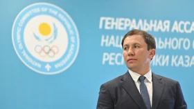 Головкин әуесқой бокстағы мәселелерді пікірледі