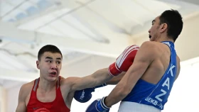 Стал известен претендент на последнюю олимпийскую лицензию в сборной Казахстана по боксу