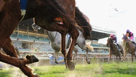 Салсабил Принцесс заняла четвертое место на UAE Oaks (видео)