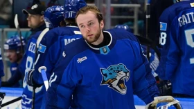 Озвучены детали восстановления Адама Шила