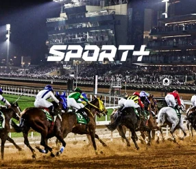 АТ ШАБЫСЫ. SAUDI CUP 2025