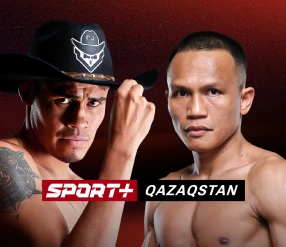 КӘСІПҚОЙ БОКС. НАВАРРЕТЕ – СУАРЕС