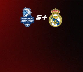 БАСКЕТБОЛ. АСВ ЛИГАСЫ. 15 ТУР. АНДОРРА – РЕАЛ МАДРИД