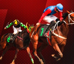 КЛАССИКАЛЫҚ AТ ШАБЫСЫ. АЛМАТЫДАН ТІКЕЛЕЙ ЭФИР