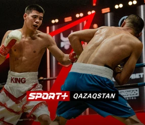 Профессиональный бокс. RD promotion