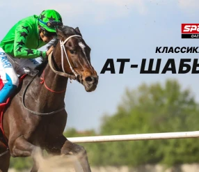 КЛАССИКАЛЫҚ АТ ШАБЫС. FASHION DAY