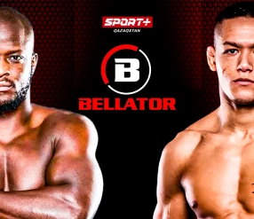 BELLATOR SERIES 2: BABENE vs VAN STEENIS